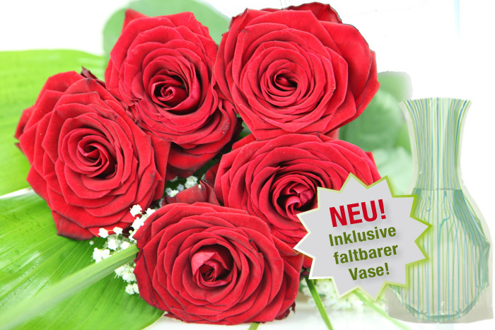 Fünf große rote Rosen