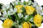 Preview: Blumenstrauß gelb Alstromerien weiß