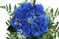 Preview: Blumenstrauß blaue Rosen