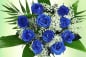 Preview: Blaue Rosen Blumenstrauß blau