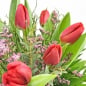 Preview: Blumenstrauß roten Tulpen Nahaufnahme