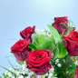 Preview: Roten Rosen mit Schleierkraur