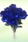 Preview: Langstielige Rosen in blau