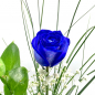 Preview: Blaue einzelne Rose
