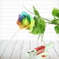 Preview: Regenbogen Rose