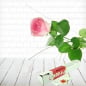 Preview: Großblütige rosa Rose