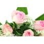 Preview: Strauß mit rosa Rosen