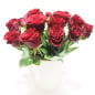 Preview: 20 rote Rosen inklusive Keramikvase