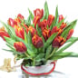 Preview: Rote Tulpen