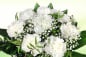 Preview: Weiße Nelken Blumenstrauß