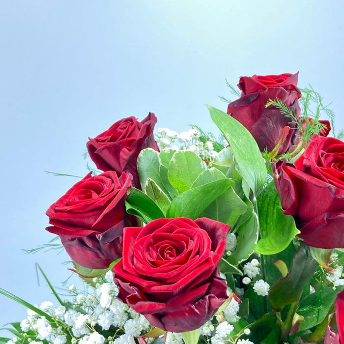 Roten Rosen mit Schleierkraur
