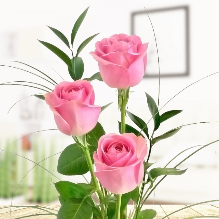3 Rosa Rosen Rosenstrauß