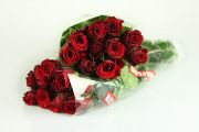 Medium Rosen rot Bundware