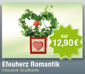 Efeuherz
