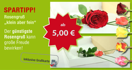 Günstigste Rosengruß! Klein aber fein.