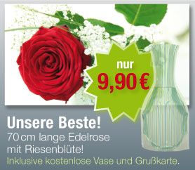Rote Edelrosen