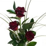 Serenade mit drei schwarzen Rosen