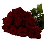 10 schwarze Rosen liegend