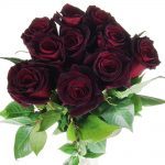 10 schwarze Rosen von oben