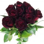 10 schwarze Rosen von oben