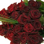 Schwarze Rosen Black Baccara