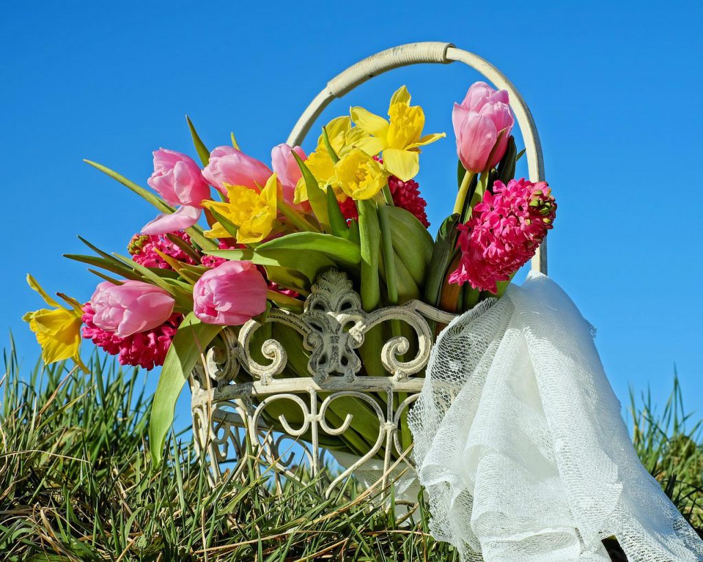 Bunte Blumen vor blauem Himmel