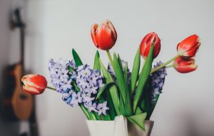 Rote Tulpen und Hyazinte im Topf