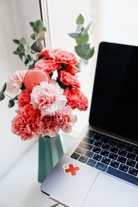 rosa und pinke Nelken am Computer
