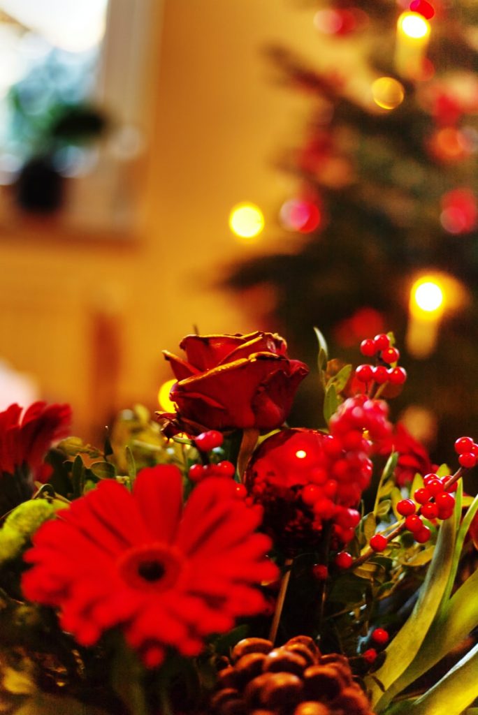 Roter Blumenstrauß mit Gerbera vor Weihnachtsbaum