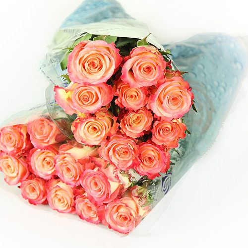 Bundware mit Rosen