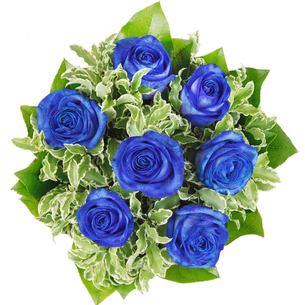 Blauer Rosenstrauß von oben