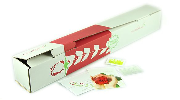 Einzelne Verpackung Rose mit Grußkarte