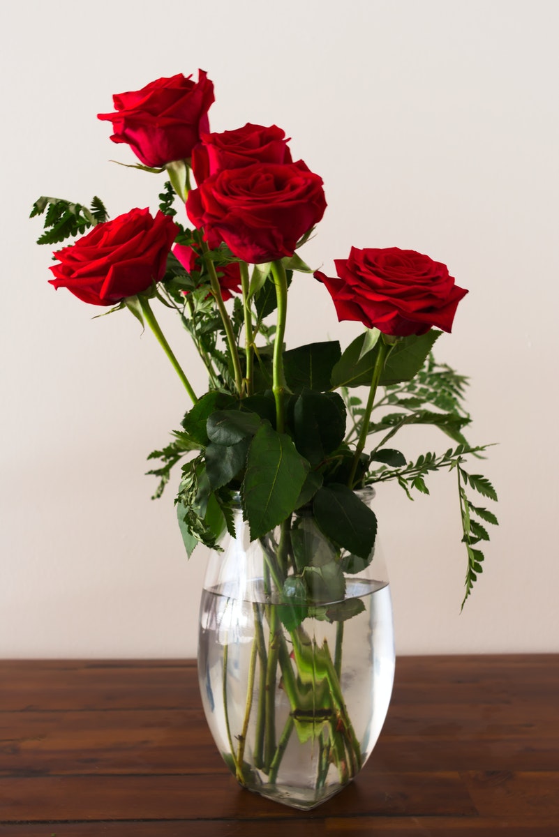 Red Naomi Rosen in einer Vase