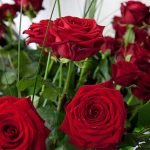 Mehrere Red Naomi Rosen