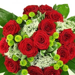 Premium Blumenstrauß mit roten Rosen, weißem Trachelium, grünen Chrysanthemen und Grün