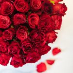 Rote Rosen und Blätter