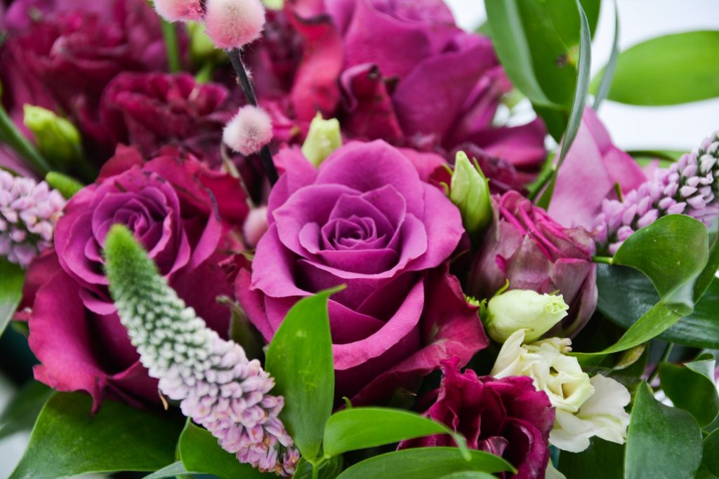 Pinke Rosen mit Veronika