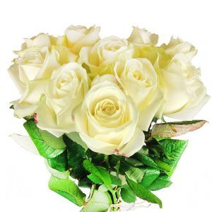 10 weiße Rosen
