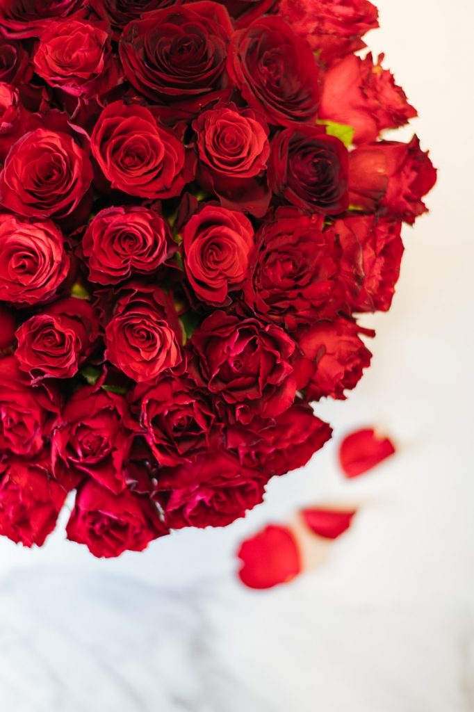 Rote Rosen und Blätter