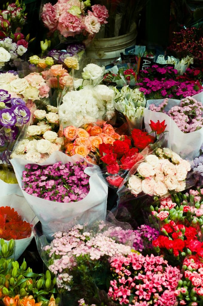 weiße, rosa, gemischte Rosen