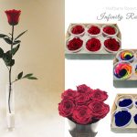 Haltbare Infinity Rosen