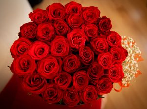 Im Kreis gebundene rote Rosen
