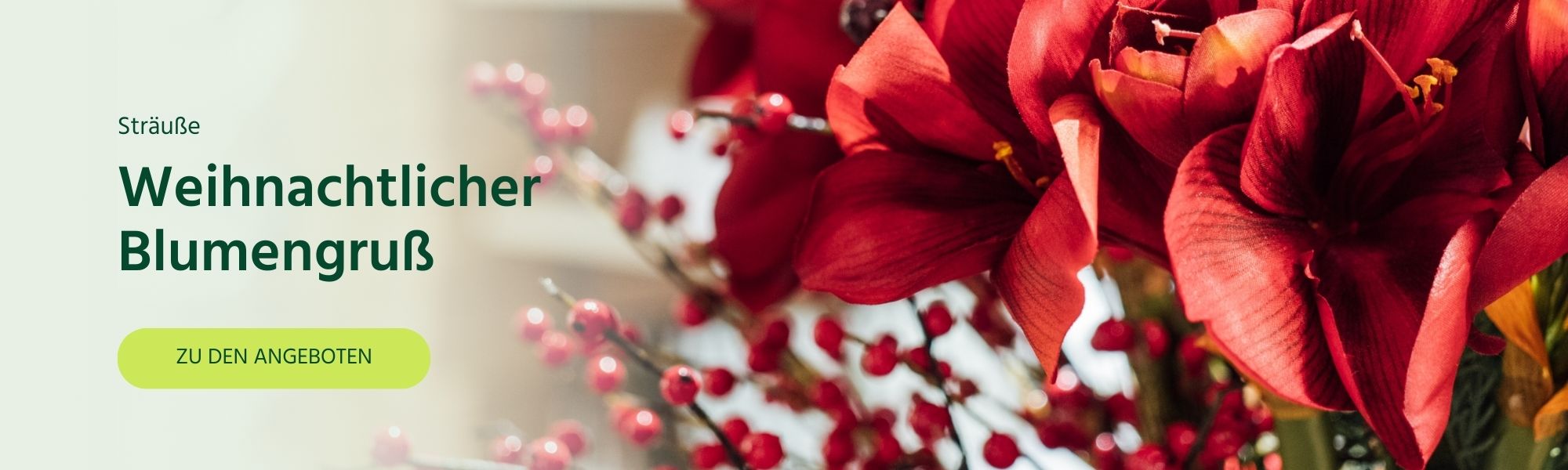 Blumen zu Weihnachten verschenken