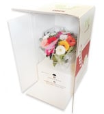 Blumen verschicken mit speziellem Blumenversand Karton