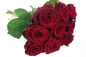 Mobile Preview: Große rote Rosen