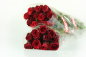 20 rote Rosen - Schnittblumen - Bundware