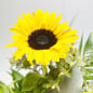 Preview: Sonnenblume im Strauß