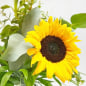 Preview: Sonnenblume im Blumenstrauß