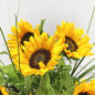Preview: Sonnenblumen Nahaufnahme Sonnenblume