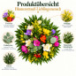 Preview: Blumensrtauß Lieblingsmensch Einzelteile